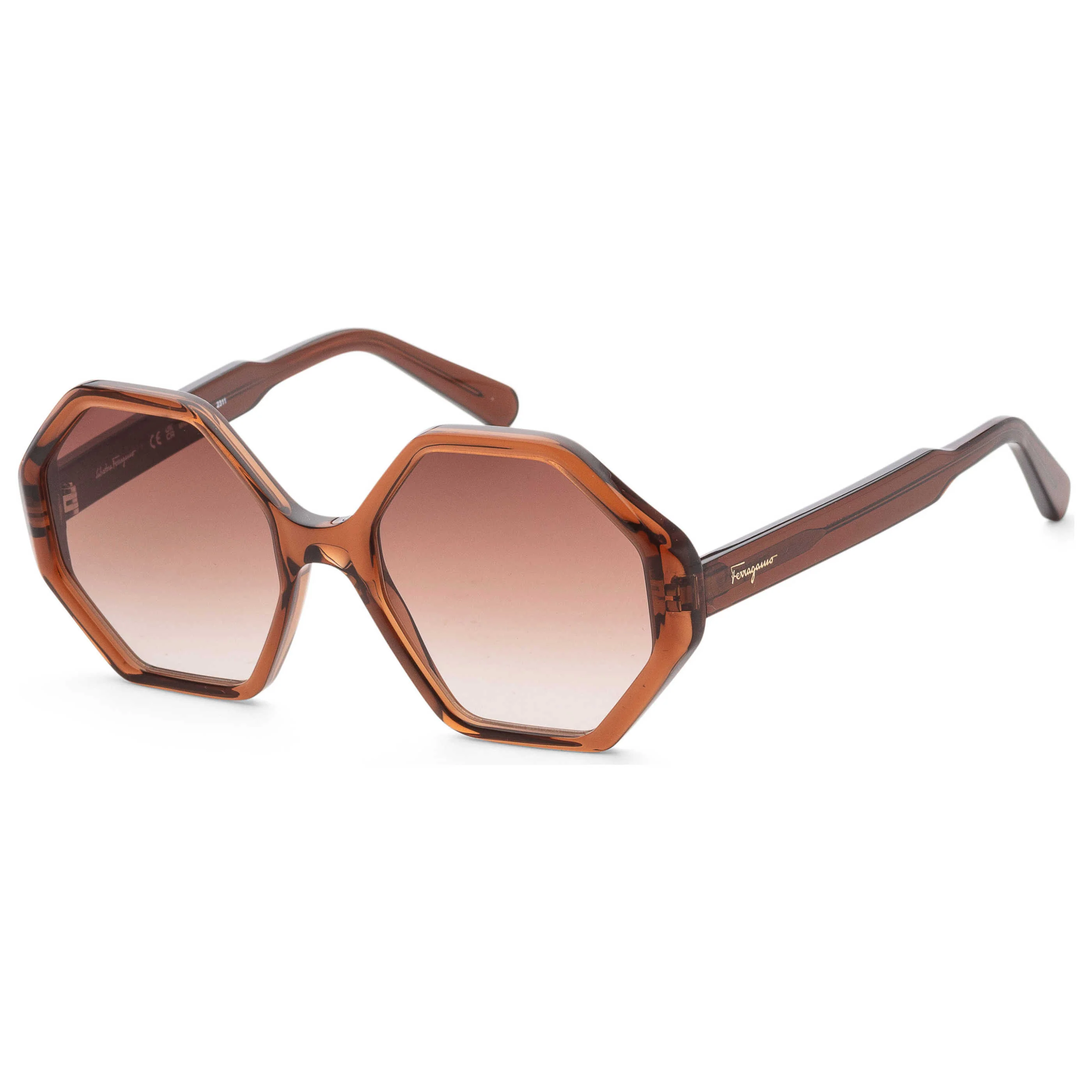 Ferragamo Women's Sunglasses SF1070S-210