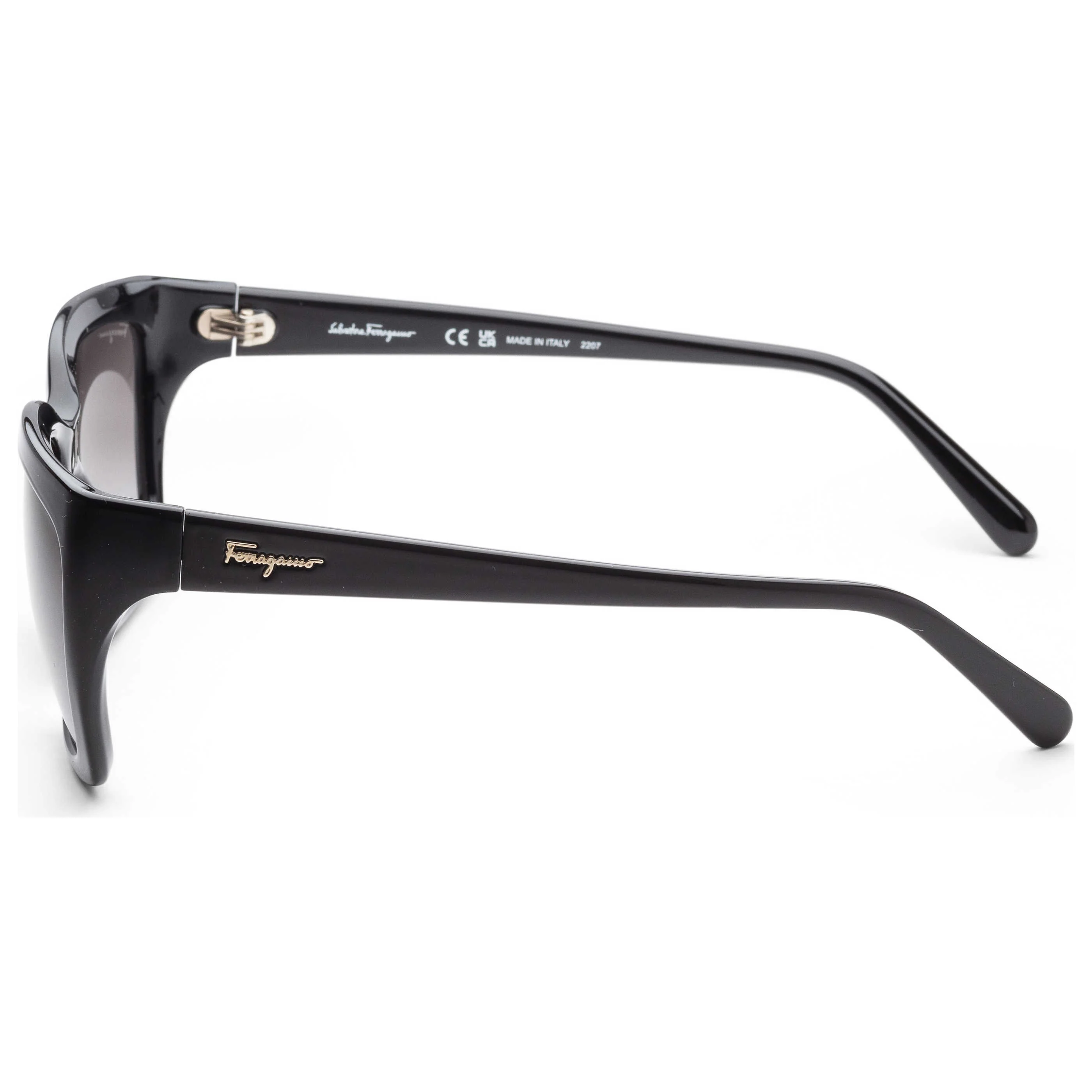 Ferragamo Women's Sunglasses SF1018S-001