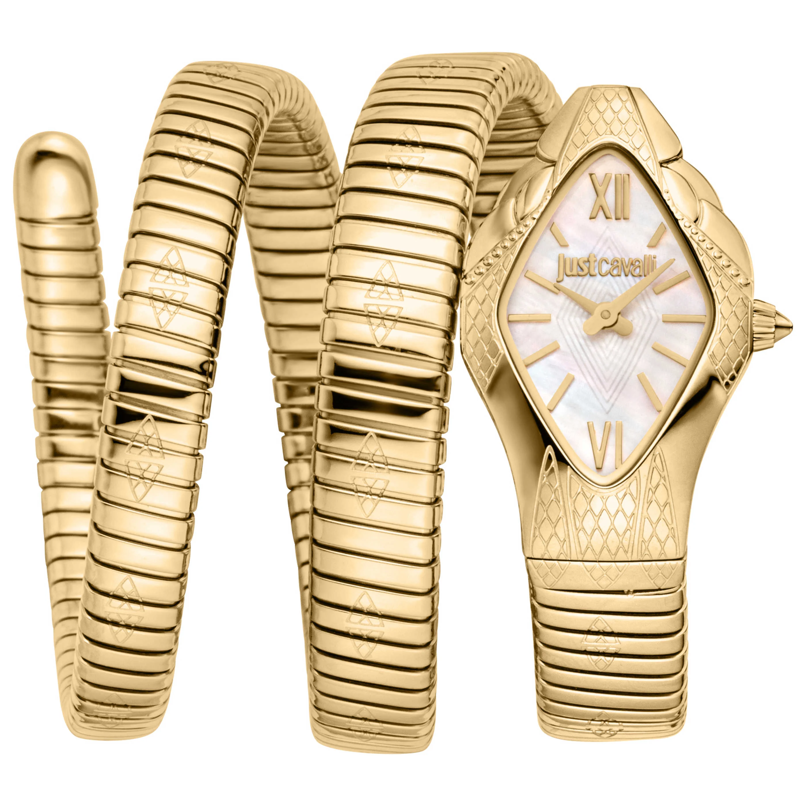 Just Cavalli Women's Watch JC1L307M0025